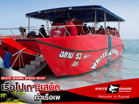Speedboat Koh Samet price